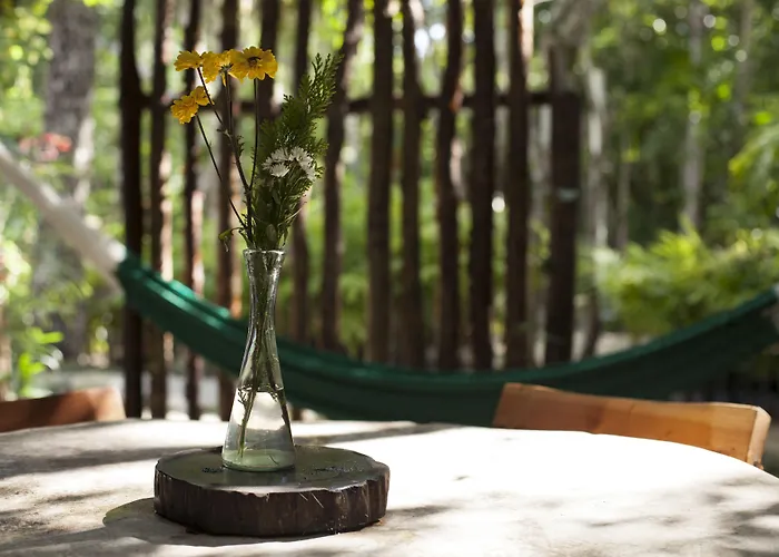 Chaktunche Rancho Acomodação com café da manhã 