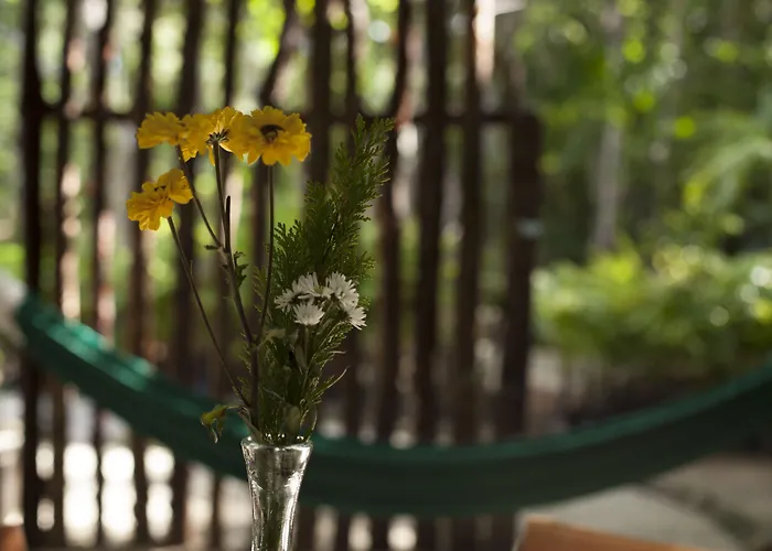 Chaktunche Rancho Acomodação com café da manhã 