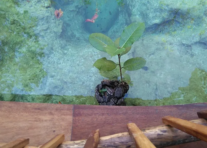 Chaktunche Rancho 3* Puerto Morelos