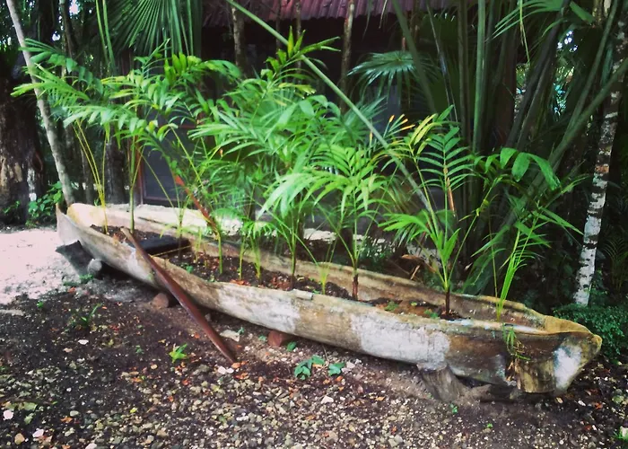 Chaktunche Rancho Acomodação com café da manhã  Puerto Morelos